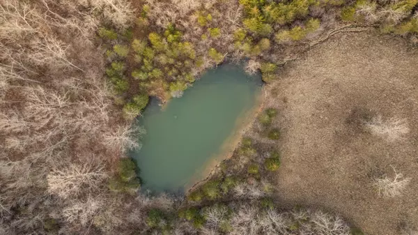 Chadwick, MO 65629,6366-6998 Chadwick RD