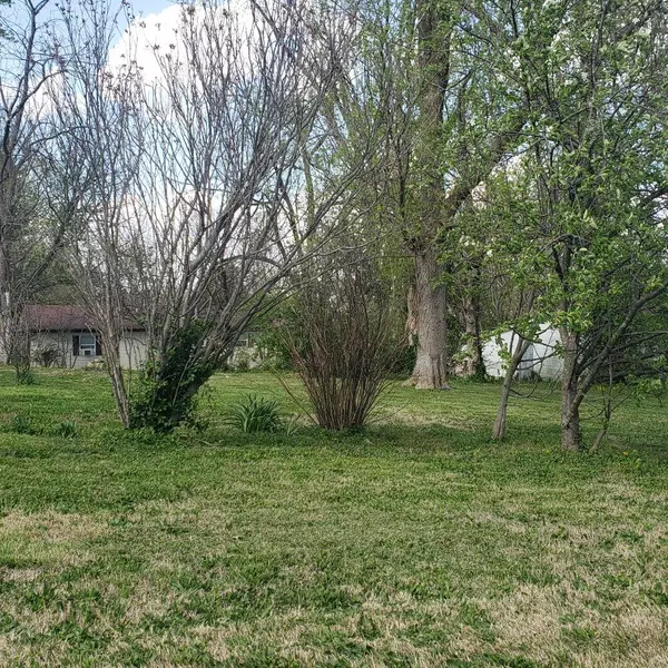 Mountain Grove, MO 65711,312 W 11th ST