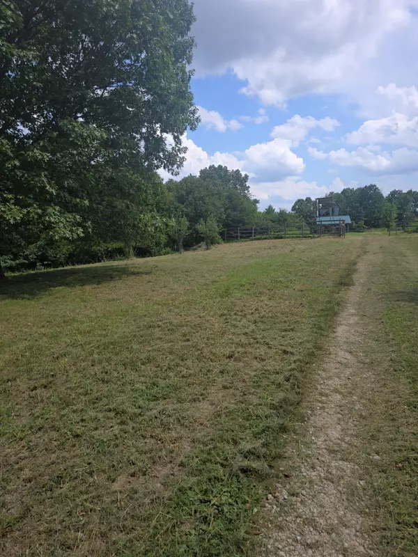 Reeds Spring, MO 65737,3450 Reno Hollow RD