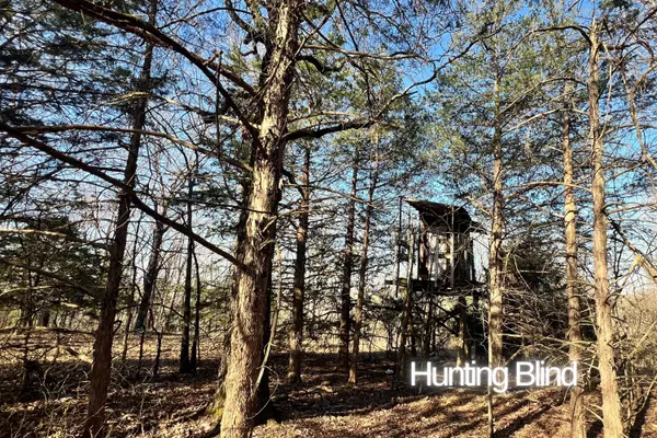 Tecumseh, MO 65760,120 Ac County Road 547