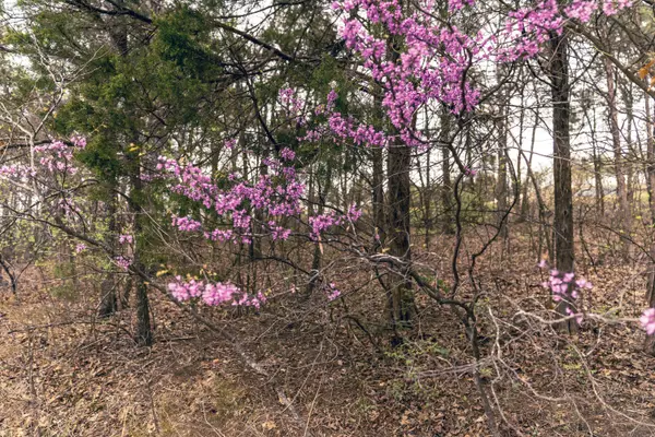 Merriam Woods, MO 65740,Lot 3-5 Stone RD