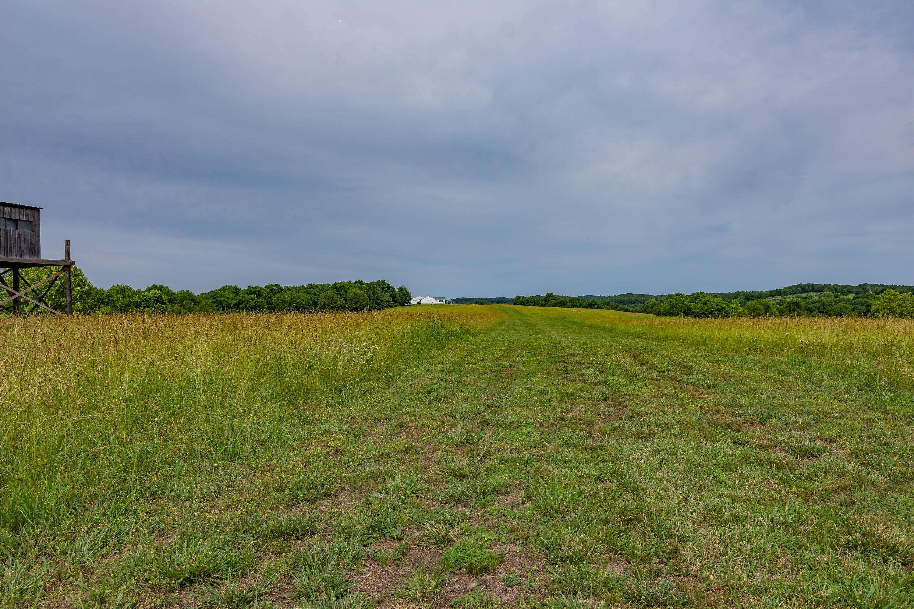 Taneyville, MO 65759,925 Middleton