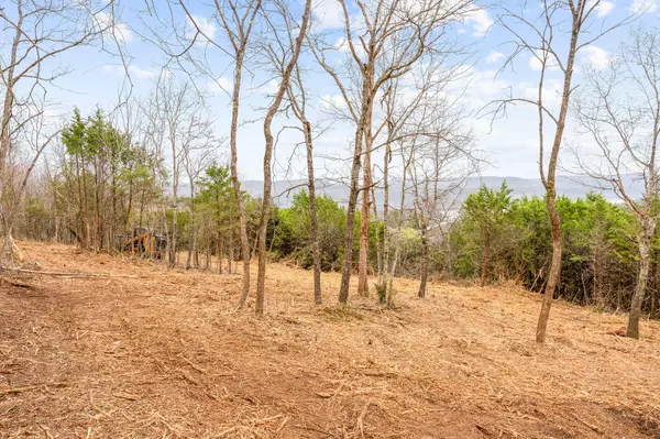 Shell Knob, MO 65747,Tbd Tract3 Woodcliff Road/Yy-1a