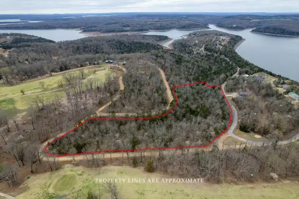 Theodosia, MO 65761,000 Country Club DR