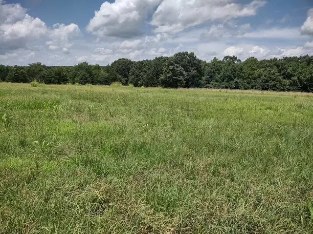 Marshfield, MO 65706,Tbd Wiseman RD #Tract 9