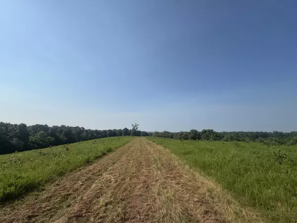 000 Buckeye LN, Stella, MO 64867