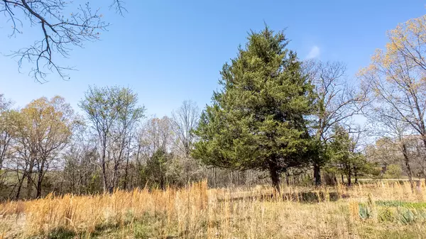 Thayer, MO 65791,171 Private Road 63-83