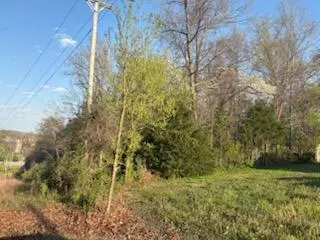 Branson, MO 65616,Tbd South ST
