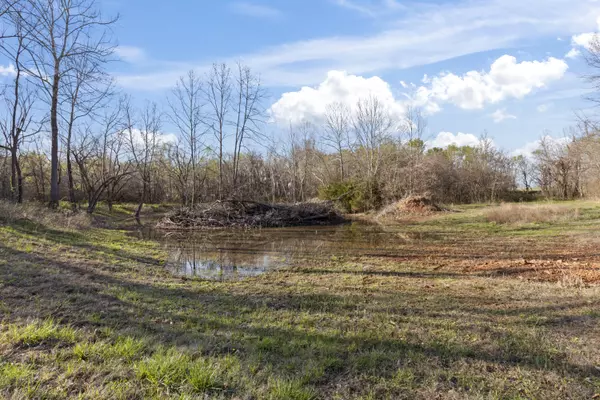 Walnut Grove, MO 65770,Tbd N Farm Road 23