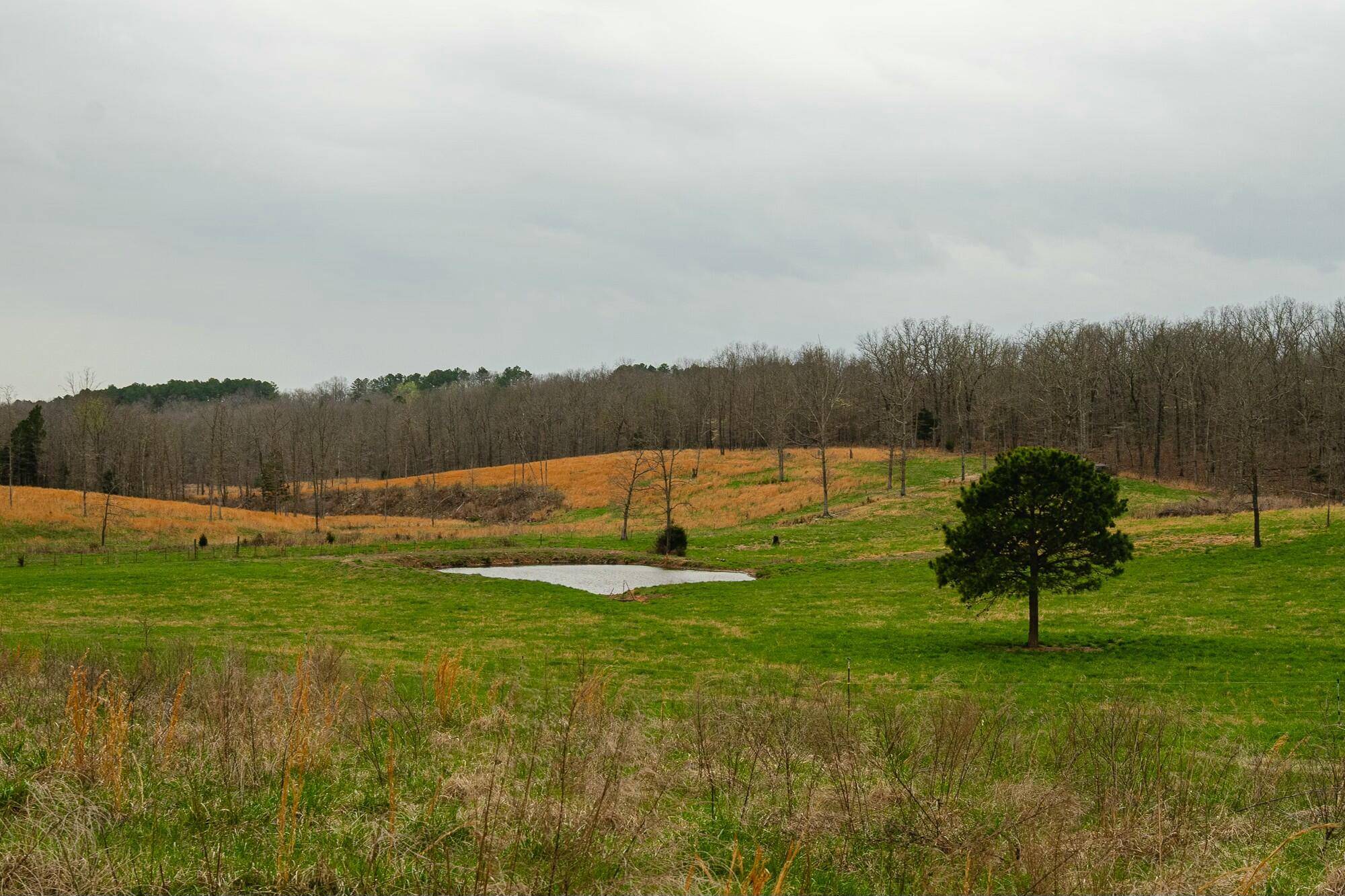 West Plains, MO 65775,1420 State Route 14