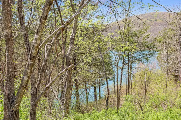 Galena, MO 65656,Tbd 789 Everest (Lot 4) RD