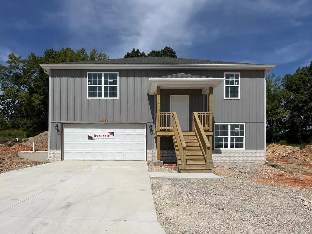 Marshfield, MO 65706,819 Holstein LN