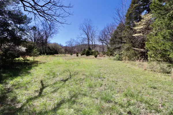 Saddlebrooke, MO 65630,000 Seven Pines DR #Lot 117