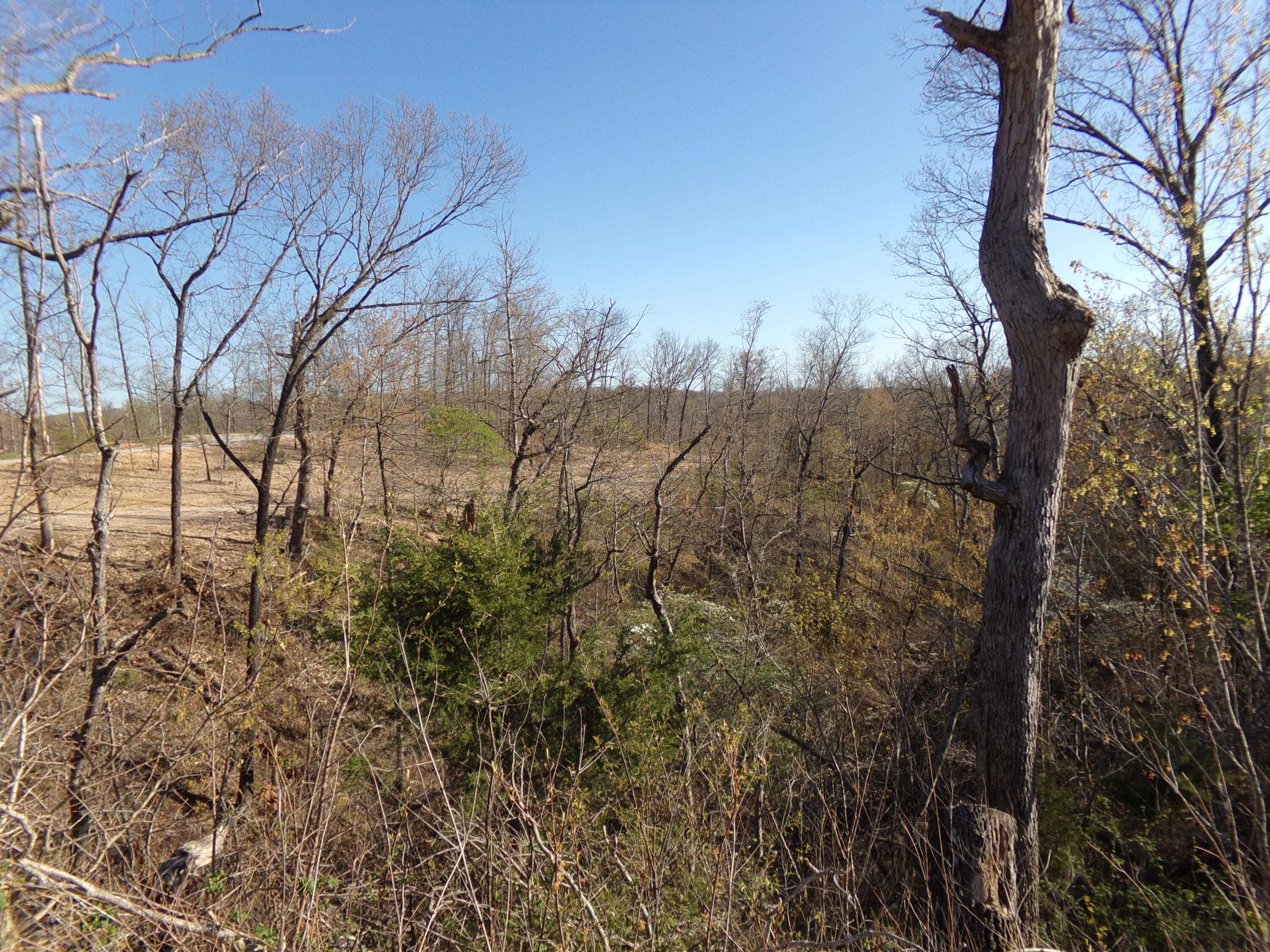 Pineville, MO 64856,000 Freemont