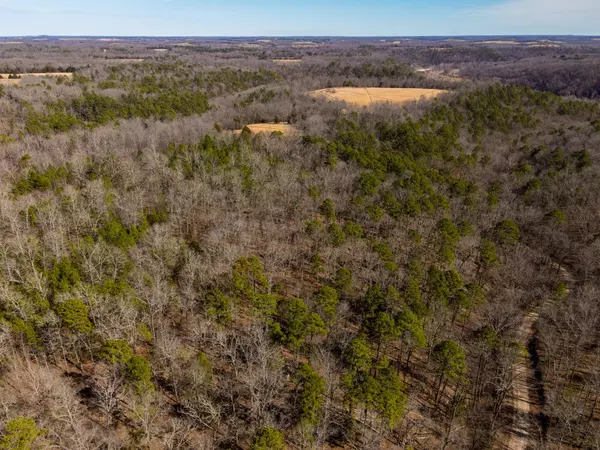 Dora, MO 65637,000 County Road 179