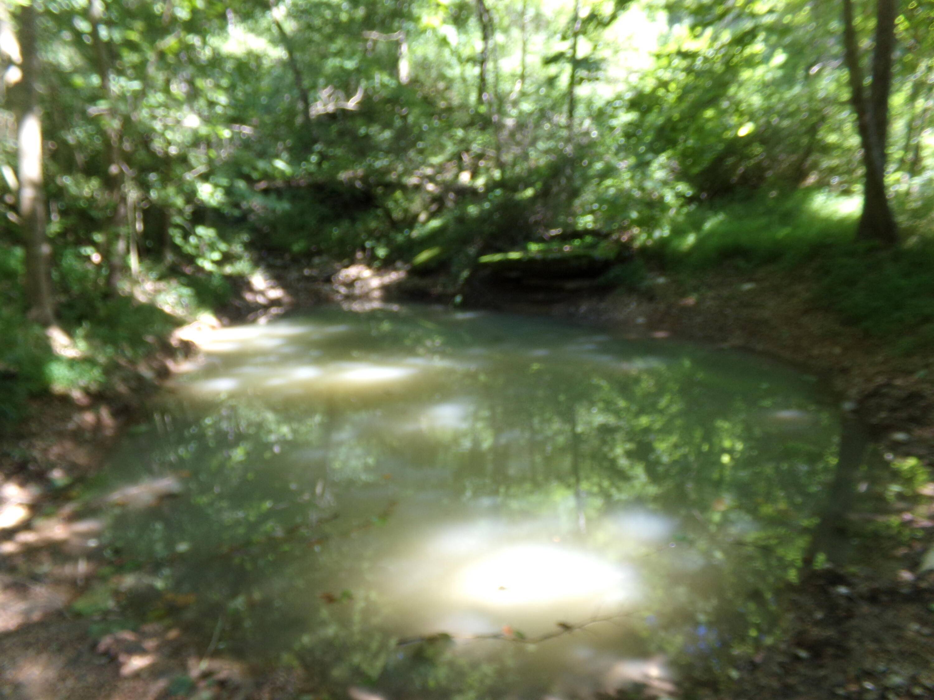 Pineville, MO 64856,000 Paradise LN