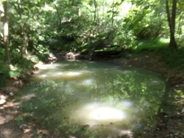 Pineville, MO 64856,000 Paradise LN