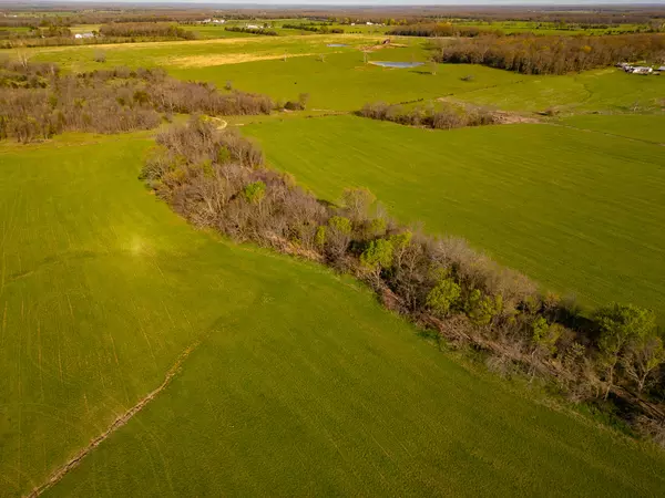 Conway, MO 65632,000 County Trails Rd