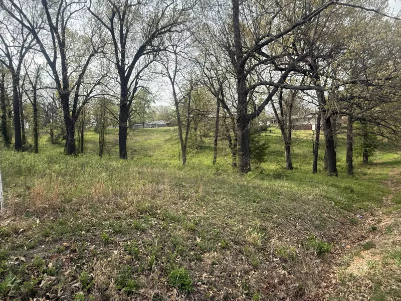 Xxx S High ST, Neosho, MO 64850