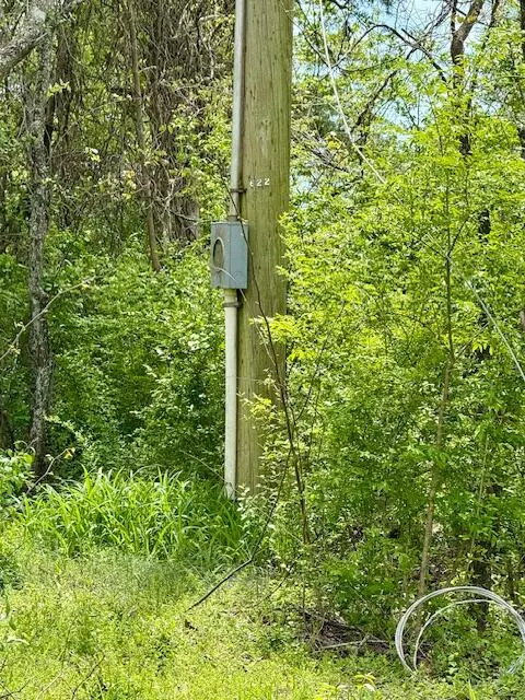 Winona, MO 65588,5484 Mily Street