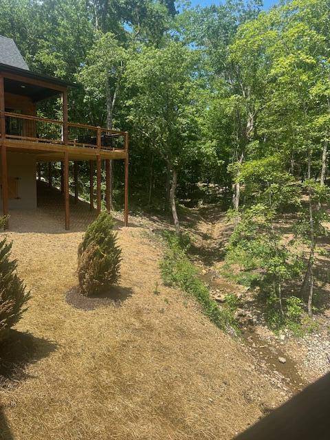 Hollister, MO 65672,132 Backwoods Loop