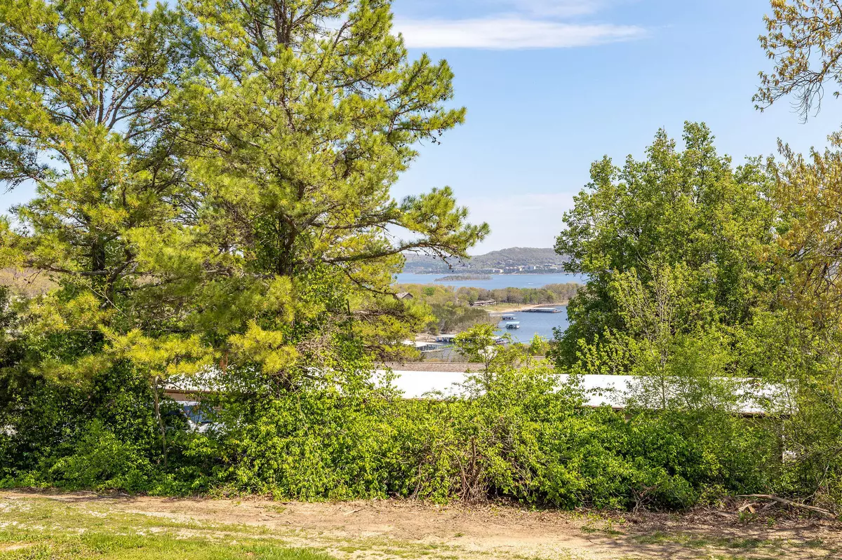 Blue Eye, MO 65611,28 Adams LN