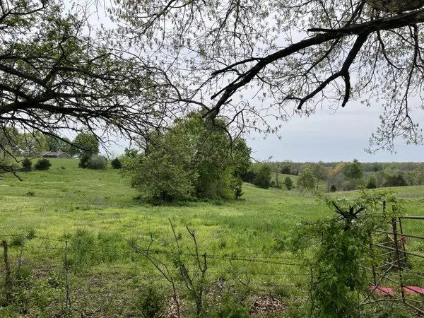 Clever, MO 65631,0 Mount Carmel RD