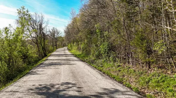 Willard, MO 65781,Tract 3 W Farm Road 36