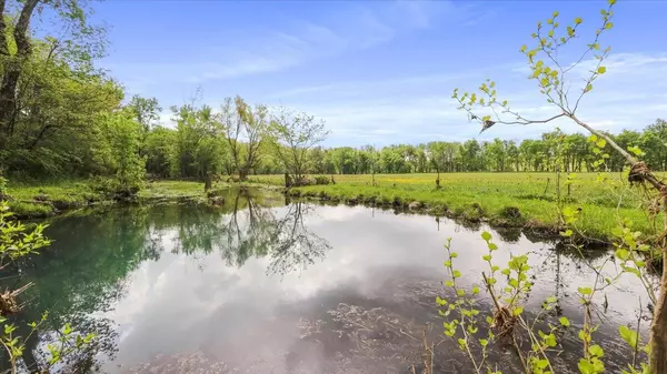 Van Buren, MO 63965,688 Carter St 123