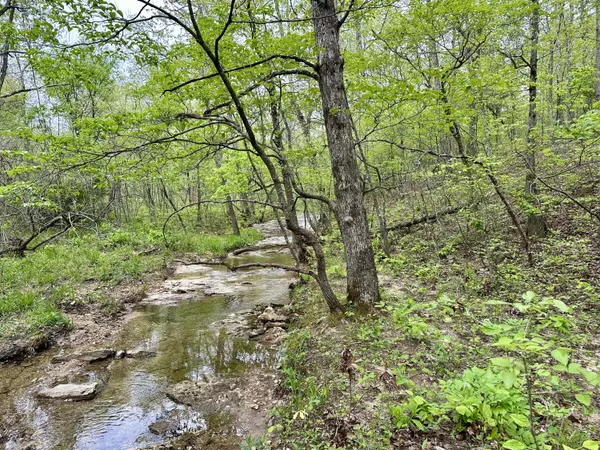 Van Buren, MO 63965,000 Highway D
