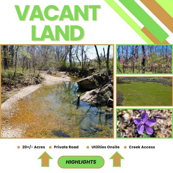 Tract 3 Stewerd Drive, Fordland, MO 65652