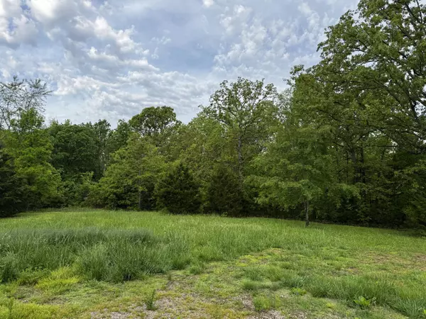 West Plains, MO 65775,9881 County Road 6970