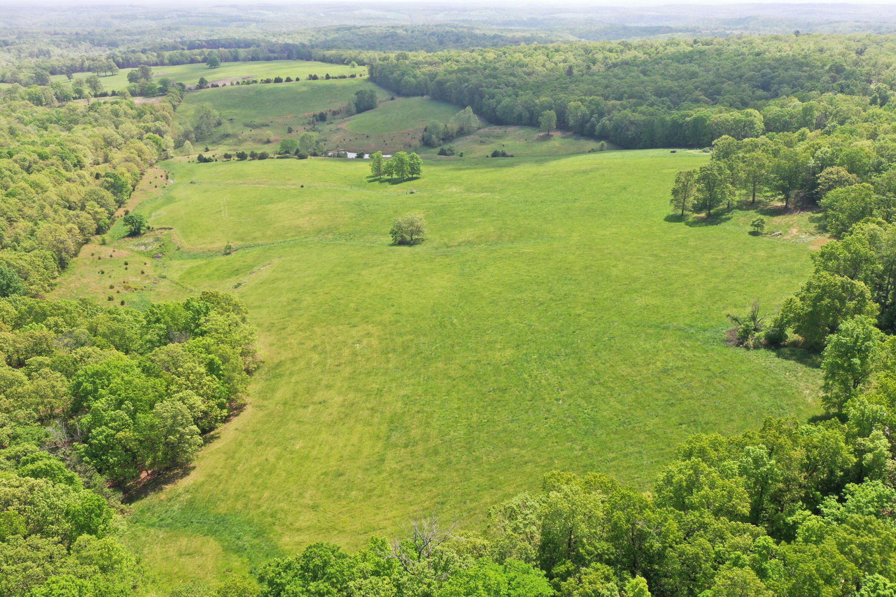000 Hwy Ff, Gainesville, MO 65655