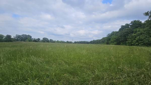000 County Road 132, Norwood, MO 65717