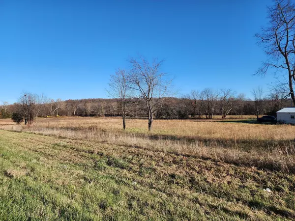 Brighton, MO 65617,000 Farm Road #2