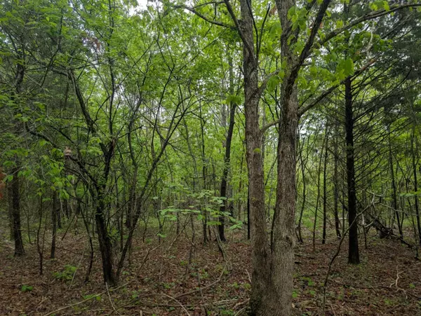 Hartville, MO 65667,Tbd Highway E