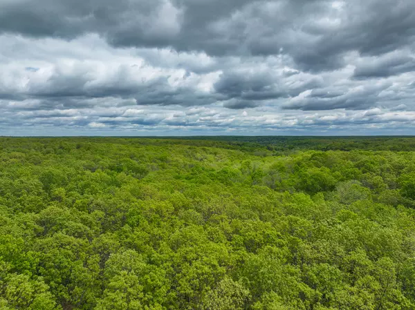 Osceola, MO 64776,11375 NE 50 RD