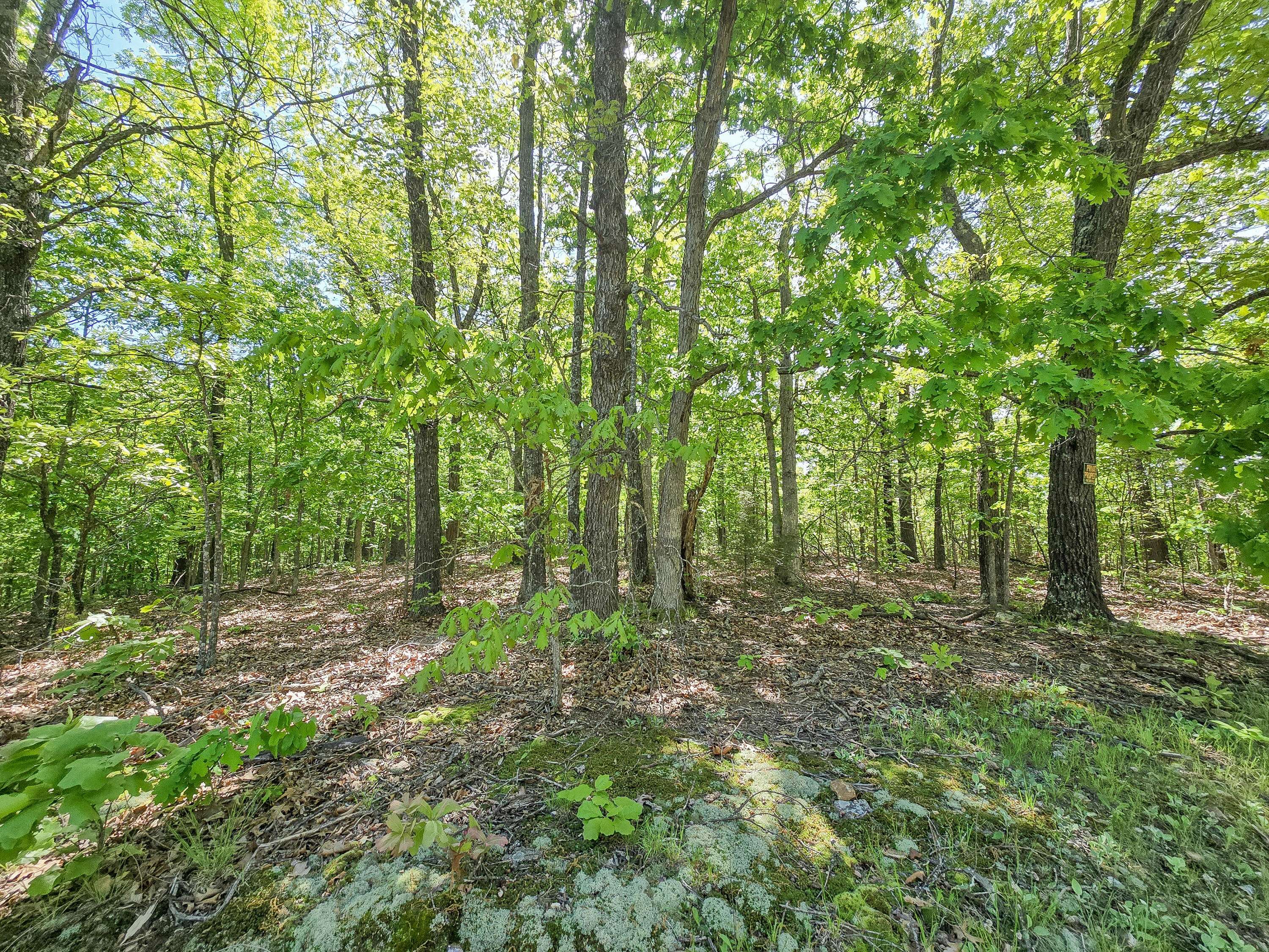 Urbana, MO 65767,000 County Road 405c