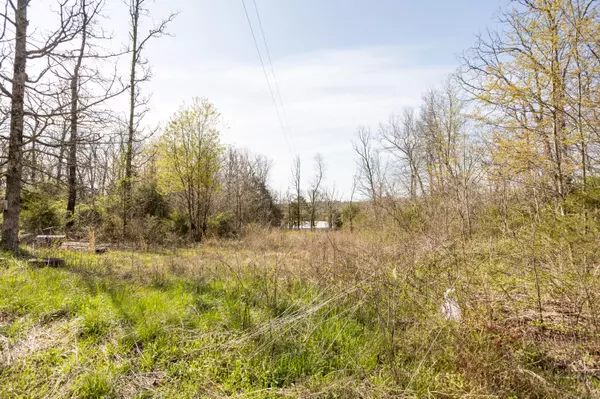 10050 Maya DR, Conway, MO 65632