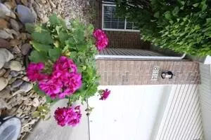 Raymore, MO 64083,814 Clancy CT