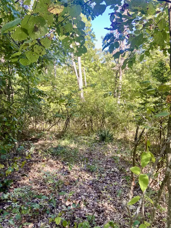 Greenfield, MO 65661,000 North Dade 173