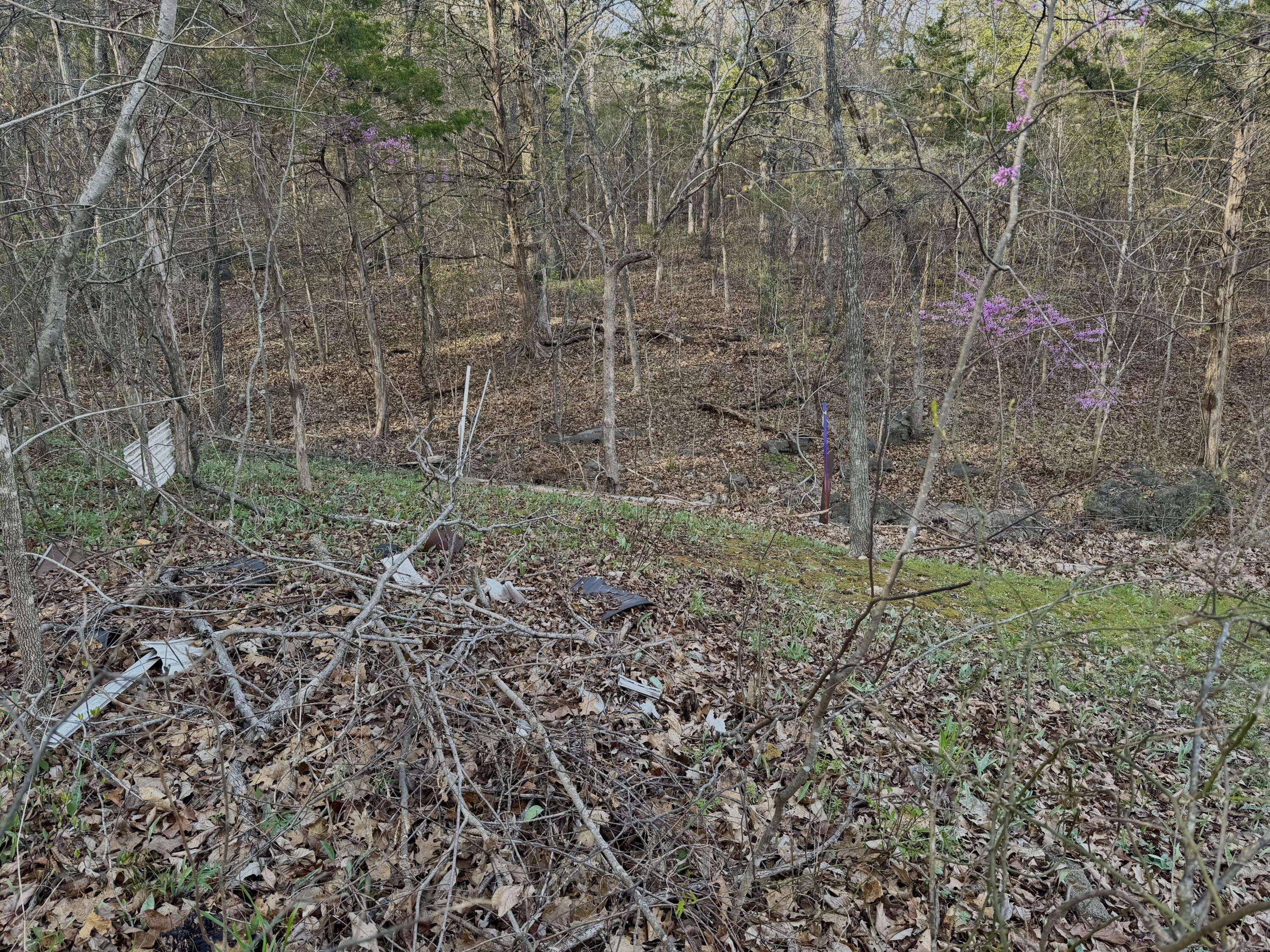 Lampe, MO 65681,112 Mill Bridge