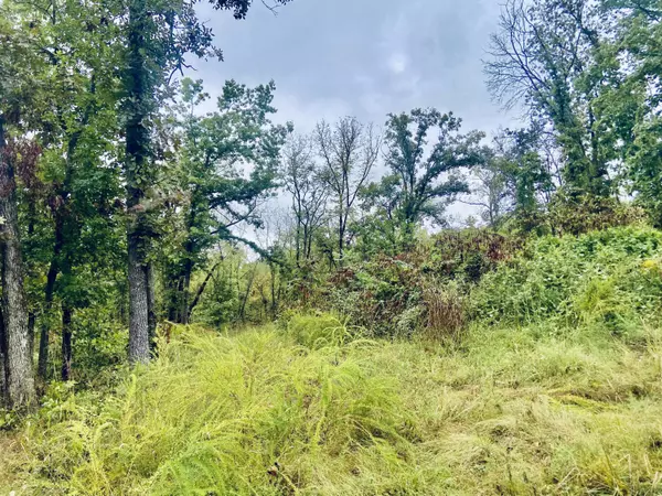 Greenfield, MO 65661,294 E Dade 68