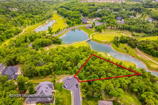 Branson, MO 65616,000 Beth Page Court