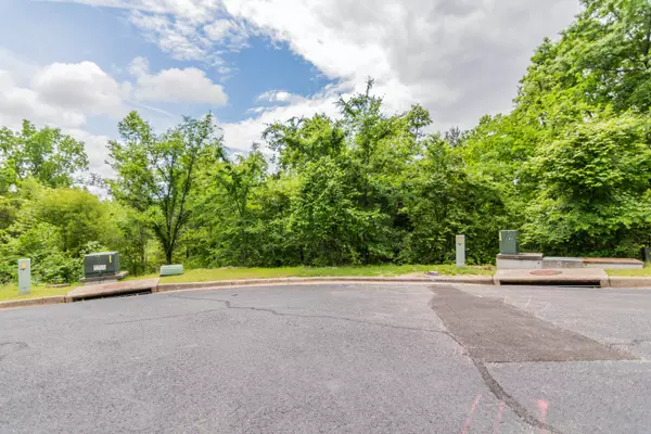 Branson, MO 65616,000 Beth Page Court