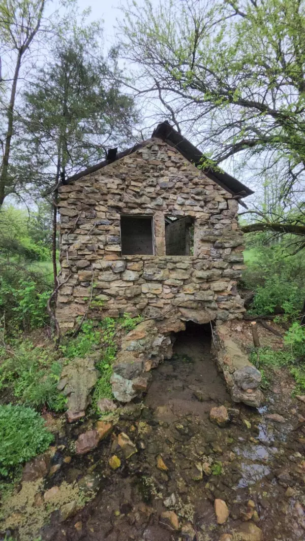 Mountain Grove, MO 65711,000 Wolfe DR