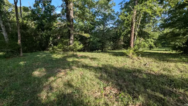 Kissee Mills, MO 65680,1145 Lake Point RD