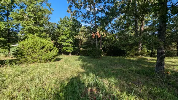 Kissee Mills, MO 65680,1145 Lake Point RD