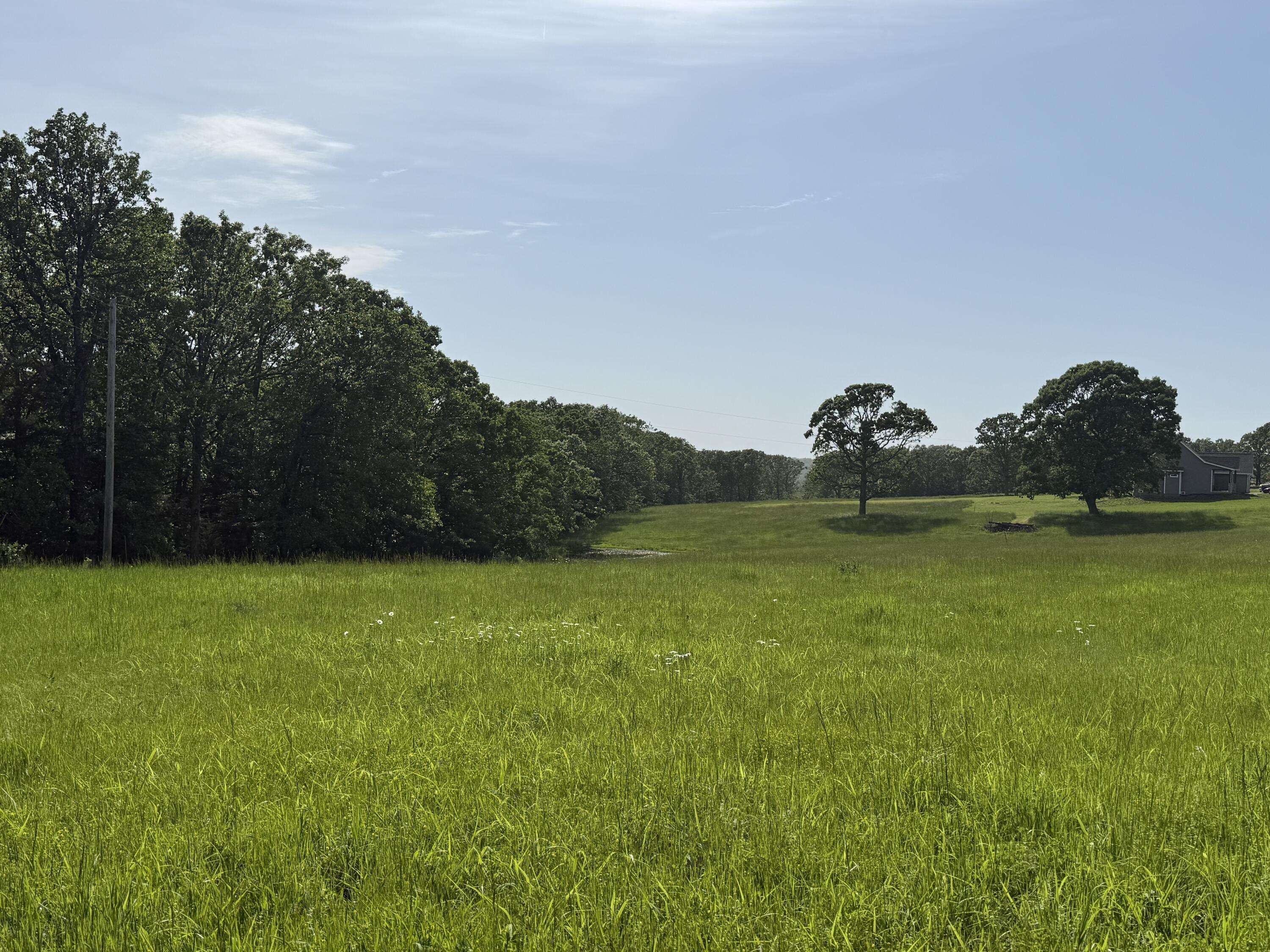 Marshfield, MO 65706,000 Tower Rd