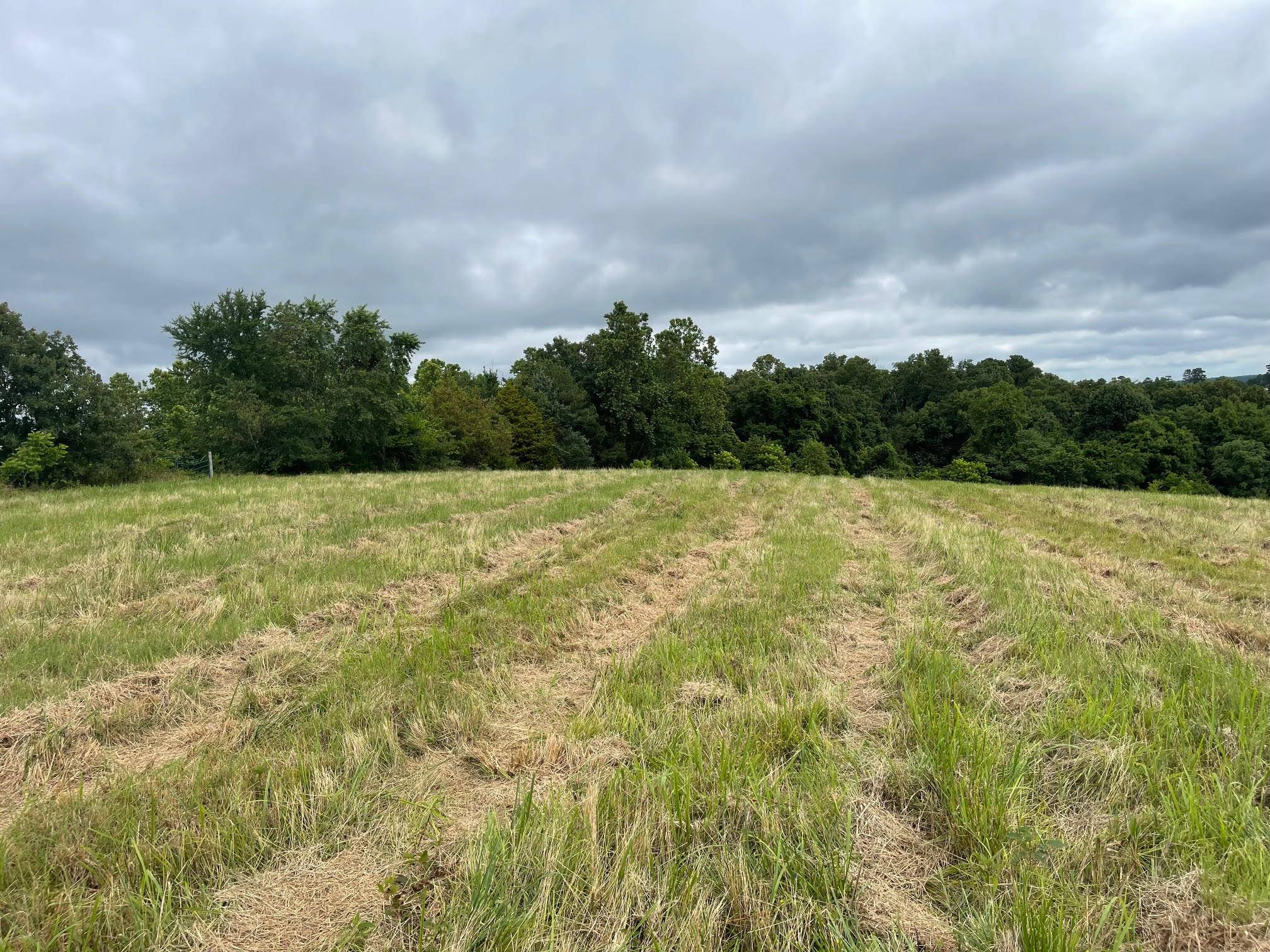 Pineville, MO 64856,16.7 Ac Turkey Ridge CT